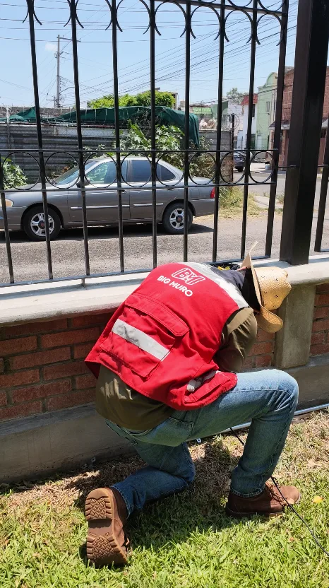 Trabajo de mantenimiento interior en local comercial — Big Muro Bajío